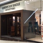 American Eagle Outfitters Survey