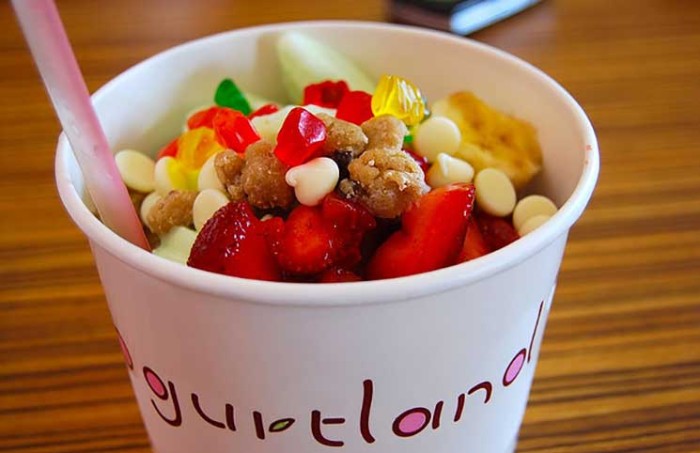 Yogurtland Feedback Survey