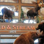 Field & Stream Customer Survey