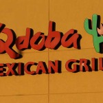 Qdoba Mexican Grill Survey